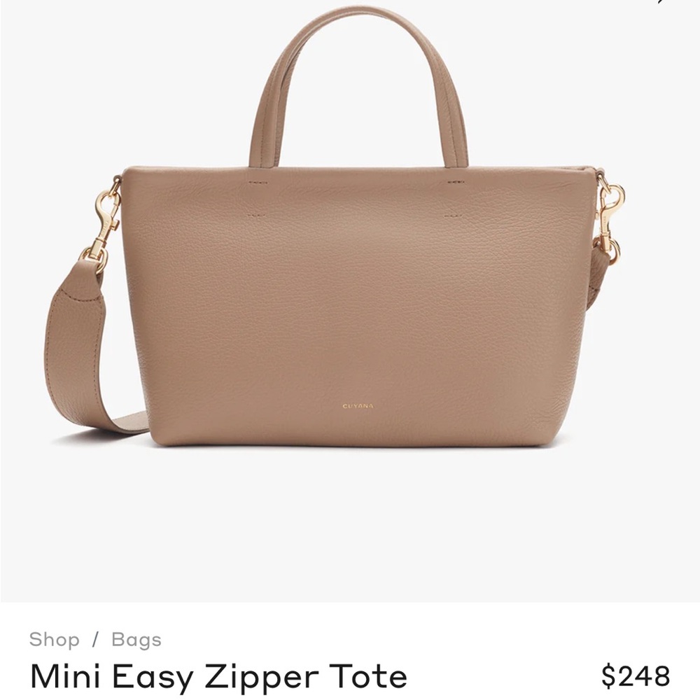 Cuyana Mini Easy Zipper Tote w dust bag